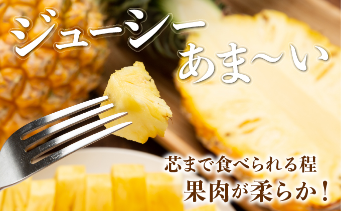 ２０２５年発送予約【手でちぎって食べる楽しさ】沖縄　西表島　熟鮮スナックパイン2kg（2～3玉）