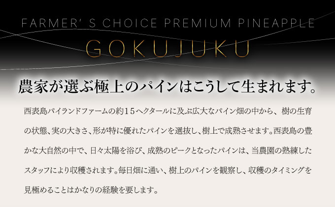 GOKUJUKU-極çãã¬ãã¢ã ãµã³ãã«ãã§(R) 1.4kgä»¥äž 1çã2026幎ãå
è¡äºçŽ ãã€ãããã« æ²çž é«ç³åºŠç§å èŽççš èŽãç© ãã€ã³ æç© ãã«ãŒã ãã¶ãŒã åžå° 西衚島