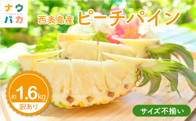 【訳あり】☆新感覚の味わい☆桃のような芳醇な香りのする　『西表島産完熟ピーチパイン』 約1.6kg