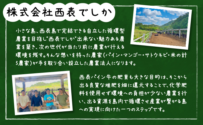西表パイン牛　カレー・シチュー用500g・ハンバーグ150g5個セット【竹富町】【ハンバーグ カレー シチュー 煮込み用 牛肉 経産牛 パイン牛 沖縄 おかず 西表島でしか】