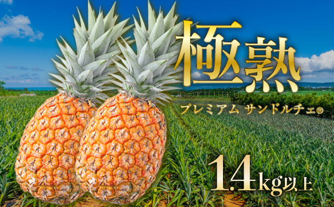 GOKUJUKU-極çãã¬ãã¢ã ãµã³ãã«ãã§(R) 1.4kgä»¥äž 1çã2026幎ãå
è¡äºçŽ ãã€ãããã« æ²çž é«ç³åºŠç§å èŽççš èŽãç© ãã€ã³ æç© ãã«ãŒã ãã¶ãŒã åžå° 西衚島