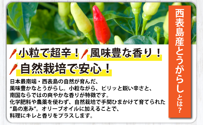 コーレーガーリックオイル