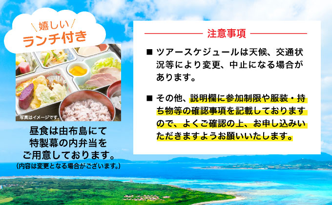 大人気の3島めぐりツアー 西表島・由布島・竹富島を満喫する日帰りツアー マングローブ遊覧＋水牛車＋選べる竹富島での過ごし方＜1日／昼食付＞【 旅行 体験チケット観光 大自然 体験ツアー 観光 沖縄 アクティビティ 】