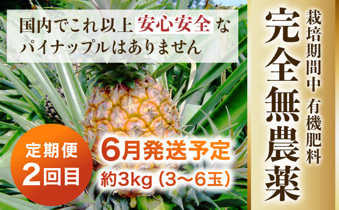 定期便 2024年 先行予約 ピーチパイン 約3kg (3〜6玉)×2回 栽培期間中 西表島アナナス農園 完熟 パイン 果物 フルーツ