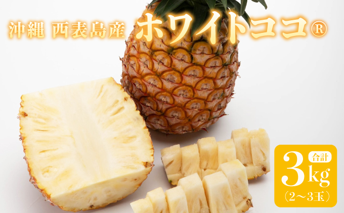 リピーター続出の希少種パイン！　数量限定販売　先行予約　パイナップル　沖縄　西表島　熟鮮ホワイトココⓇ　3㎏　2～3玉　ココナッツに似た香り　果物　フルーツ　デザート