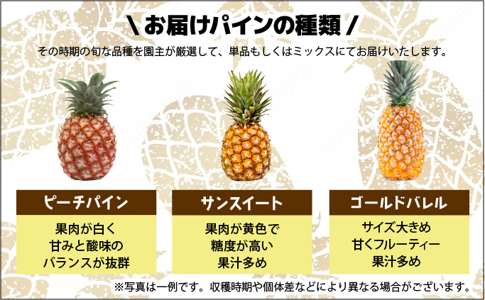 ã2026幎çºéãååœã®éŠãïŒ æ©ç©«ãå®çãã€ã³