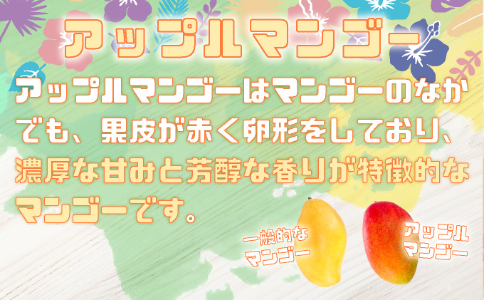 完熟 アップルマンゴー 2L 350g〜460g 2玉 マンゴー 果物 デザート 品評会連続入賞 2024年 発送 ますみ農園