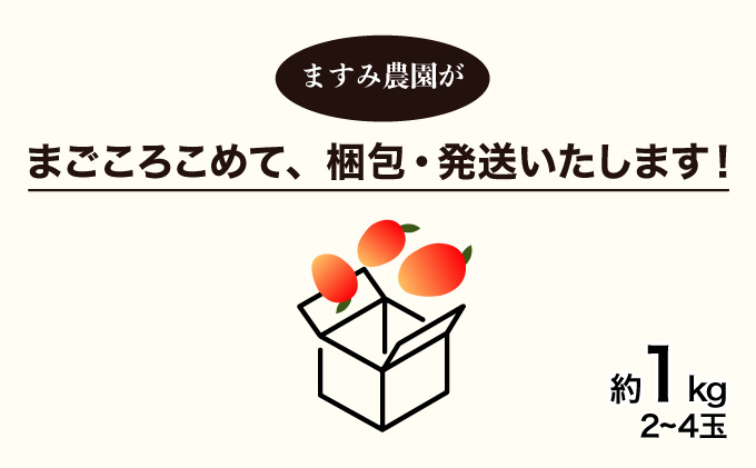 2026年 先行予約 アップルマンゴー 約1kg (2～4玉) 完熟 マンゴー ますみ農園 果物 フルーツ