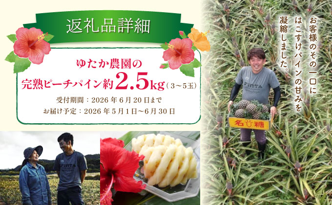 2026年 先行予約 ピーチパイン 約2.5kg 3～5玉 ちゅら西表島産!! ゆたか農園 完熟 パイン 果物 フルーツ パイナップル