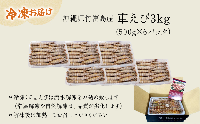 2025年 先行予約 車えび 3kg 竹富島産 冷凍車えび