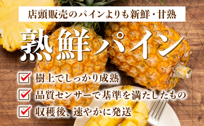 ２０２５年発送予約【手でちぎって食べる楽しさ】沖縄　西表島　熟鮮スナックパイン2kg（2～3玉）