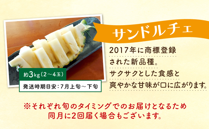 定期便 4回 2025年 先行予約 パイナップル 旬果便 農園ファイミール パイン 4種 果物 フルーツ