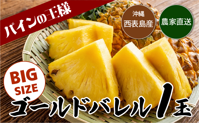 【2026年発送】ゴールドバレルビッグな１玉セット