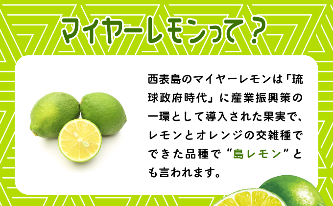 【2024年発送】まろやか多汁マイヤーレモン （島レモン）約2kg