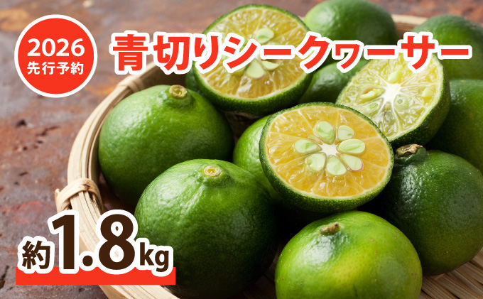 2026年 先行予約 青切り シークヮーサー 約1.8kg ★西表島ふる〜つらんど★ 果物 フルーツ