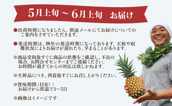 2024年 先行予約 栽培期間中 減農薬 ピーチパイン 約3kg 3〜6玉 西表島アナナス農園 完熟 パイン 果物 フルーツ