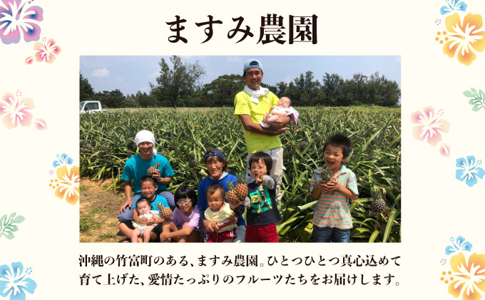 2026年 先行予約 アップルマンゴー 約2kg (3～6玉) 完熟 マンゴー ますみ農園 果物 フルーツ