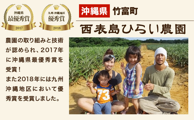 2026年 先行予約 スナックパイン 約4.5kg 6玉 西表島ひらい農園 パイナップル 果物 フルーツ パイン
