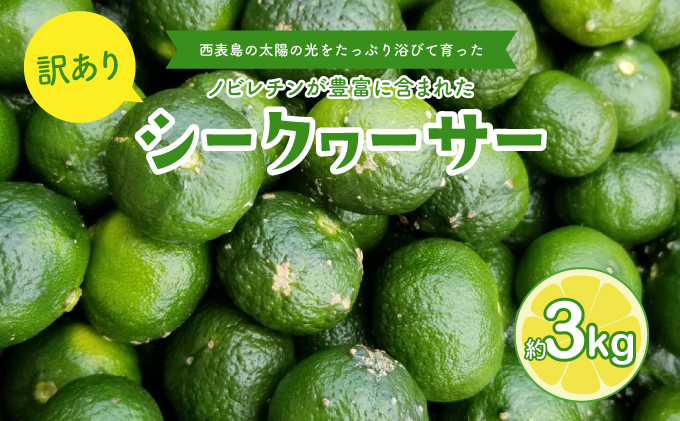 訳あり 2026年 先行予約 青切り シークヮサー 約3kg ☆西表島ふる～つらんど☆ 果物 フルーツ
