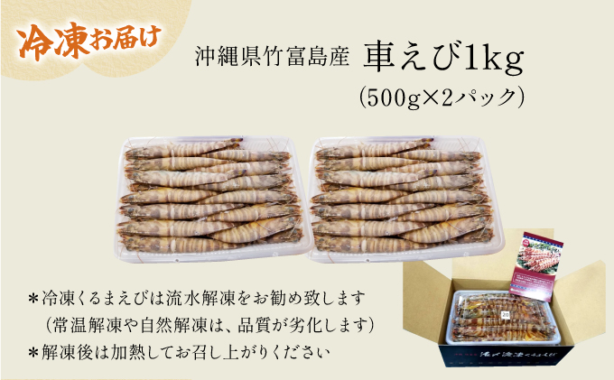 2025年 先行予約 車えび 1kg 竹富島産 冷凍車えび