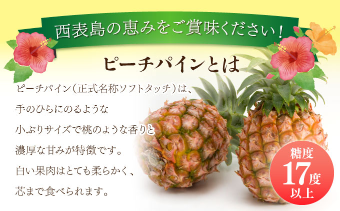 2025年 先行予約 ピーチパイン 約3kg 3玉〜4玉 ちゅら西表島産!! ゆたか農園 完熟 パイン 果物 フルーツ パイナップル