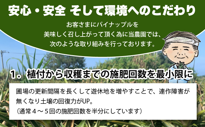 【2025年発送】ゴールドバレルたっぷり小玉セット
（※新規追加の商品のみ写真を添付いたします）