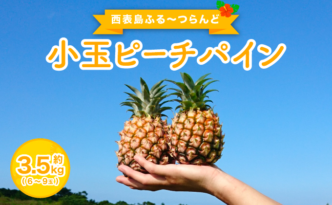 2026年 先行予約 小玉 ピーチパイン 約3.5kg 6～9玉 ★西表島ふる～つらんど★美味しさギュッと！ 果物 フルーツ パイン