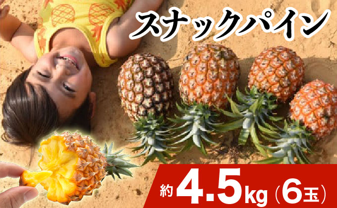 2026年 先行予約 スナックパイン 約4.5kg 6玉 西表島ひらい農園 パイナップル 果物 フルーツ パイン