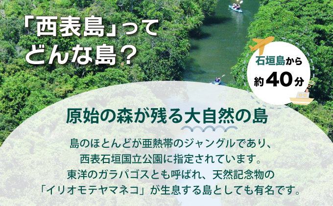 旅行券 沖縄 チケット 西表島 アクティビティ ツアーチケット 9,000円 旅行クーポン 旅行 体験 観光 クーポン