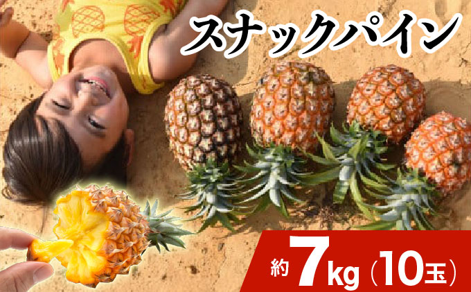 2026年 先行予約 スナックパイン 約7kg 10玉 西表島ひらい農園 パイナップル 果物 フルーツ パイン