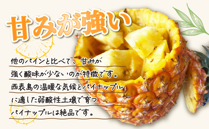 2026幎 å
è¡äºçŽ ãã€ã³ ãŽãŒã«ããã¬ã« çŽ3kg 2ïœ4ç ãŸãã¿èŸ²å çã¿ ãã£ã·ã ãã€ãããã« æç© ãã«ãŒã