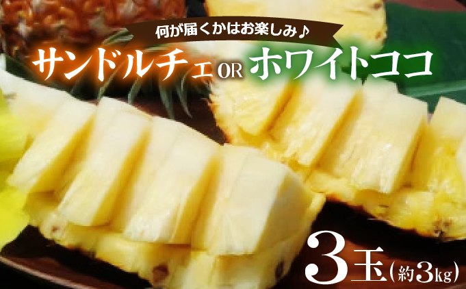 新品種パイン　『サンドルチェ』または『ホワイトココ』３玉セット　約３ｋｇ西表島産