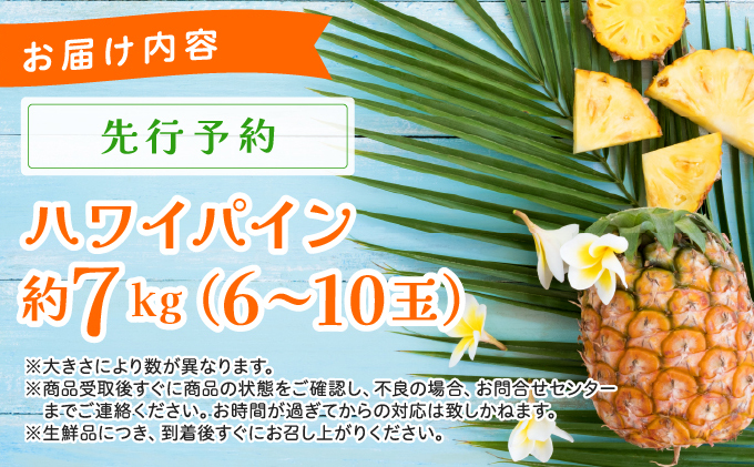 《2025年先行予約》ハワイパイン約7kg 【お届け：2025年6月中旬～7月下旬】【農園ファイミール 完熟 果物 フルーツ パイン パイナップル】