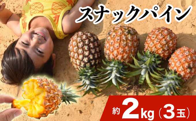 2026年 先行予約 スナックパイン 約2kg 3玉 西表島ひらい農園 パイナップル 果物 フルーツ パイン