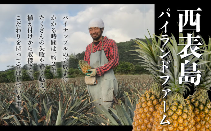 GOKUJUKU-極çãã¬ãã¢ã ãµã³ãã«ãã§(R) 1.4kgä»¥äž 1çã2026幎ãå
è¡äºçŽ ãã€ãããã« æ²çž é«ç³åºŠç§å èŽççš èŽãç© ãã€ã³ æç© ãã«ãŒã ãã¶ãŒã åžå° 西衚島