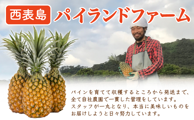 【訳あり】大きさ不揃い　お得！箱にいっぱいスナックパイン4㎏セット