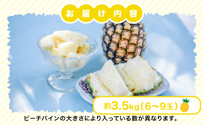 2026年 先行予約 小玉 ピーチパイン 約3.5kg 6～9玉 ★西表島ふる～つらんど★美味しさギュッと！ 果物 フルーツ パイン