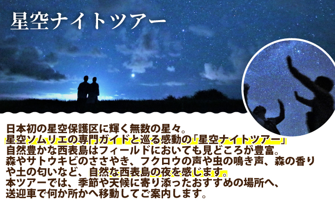 西表島 星空ナイトツアー(半日) 大人1名分
