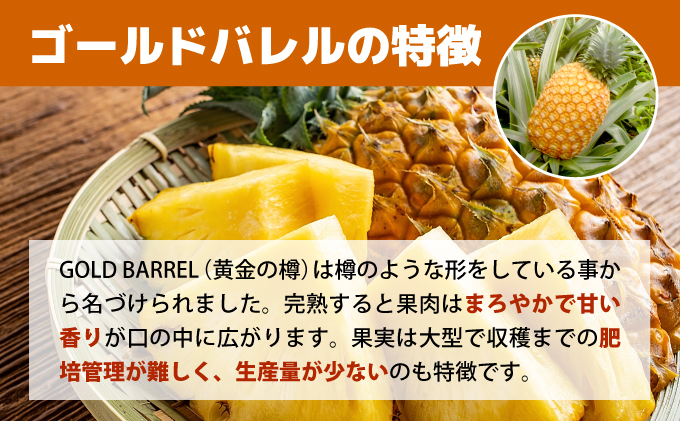 【2026年5月〜7月（全3回発送）】南国の美味しさを！パイナップル 定期便 B