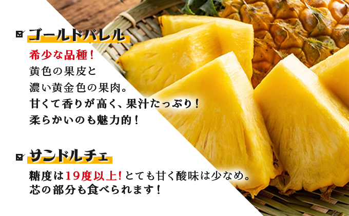 2026幎 å
è¡äºçŽ ãã€ã³ ãã³ãŽãŒ ã»ãã ãããã«ã«ãã«ãŒãã»ãã ãŸãã¿èŸ²å æç©