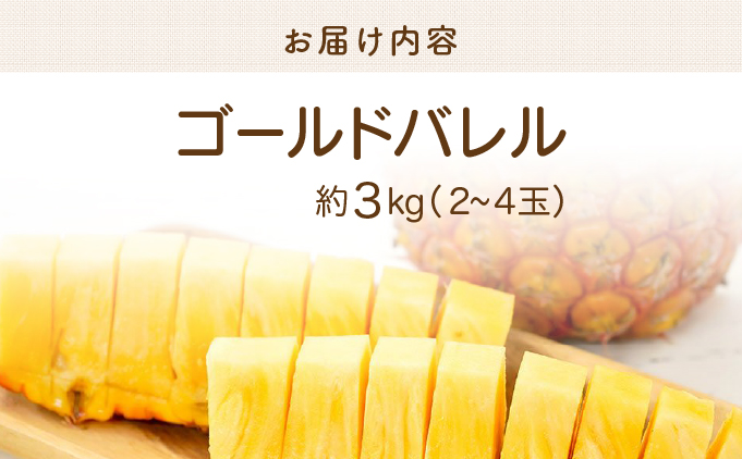 2026年 先行予約 完熟 ゴールドバレル 約3kg 2〜4玉入り 最高級 パイン 果物 フルーツ