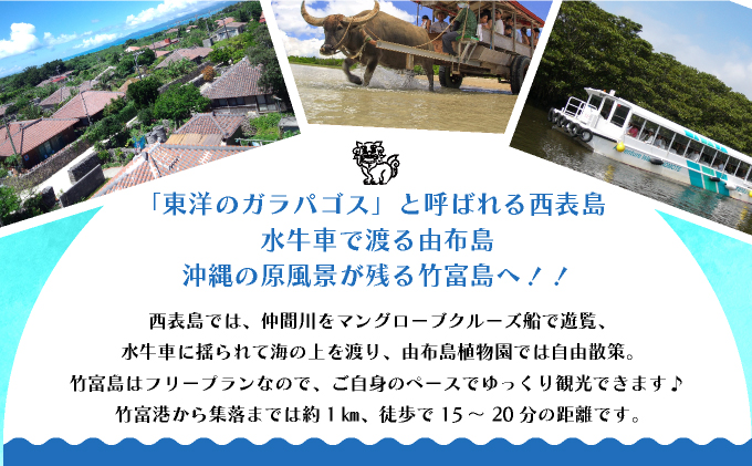 西表島・由布島・竹富島３島めぐり（竹富フリープラン）