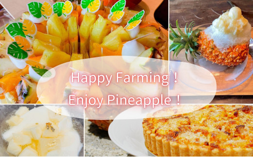 ☆新感覚の味わい☆桃のような芳醇な香りのする　『西表島産完熟ピーチパイン』 約4kg（6〜7個入）