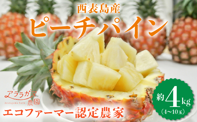 アララガマ農園発祥のピーチパイン。香り高く女性人気NO.1！国内流通量1％未満、幻の完熟ピーチパイン　ピーチパイン4kg（4～10玉）