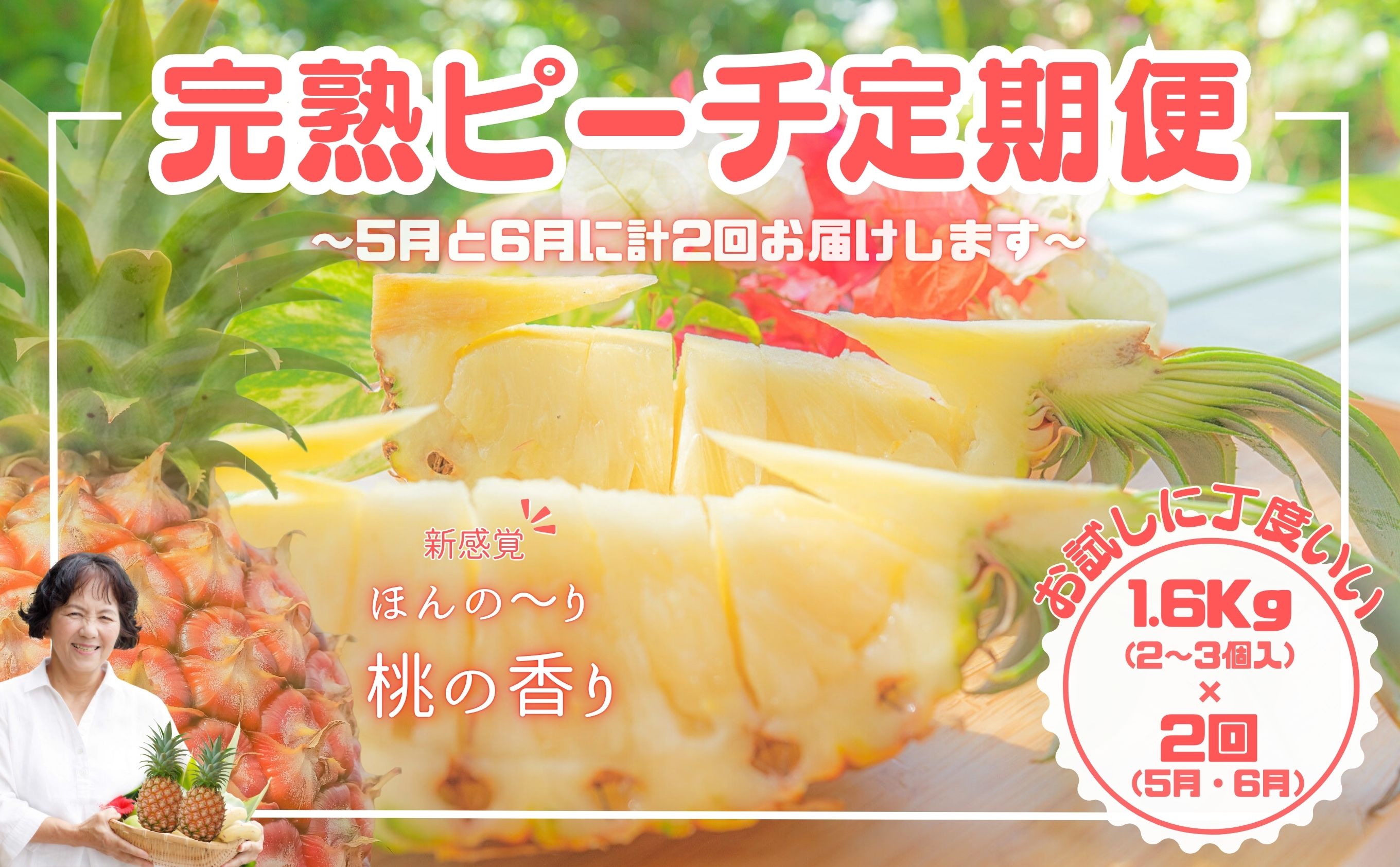 【お試しピーチ定期便★約1.6kg×2回】☆新感覚☆ まるで桃のような甘〜い香り『西表島産 完熟ピーチパイン』