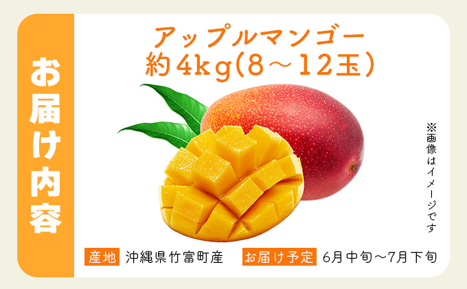 2026年 先行予約 アップルマンゴー 約4kg 8〜12玉入り 八重山マンゴー品評会総合1位を計3回獲得！高糖度保証！農園ファイミール 濃厚 果物 フルーツ