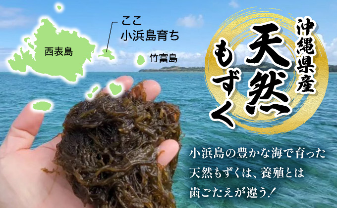 小浜島の豊かな海で育ったもずく（塩蔵）