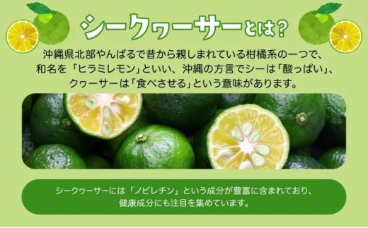 2026幎 å
è¡äºçŽ å®æäŸ¿ 3ã¶æ ååœãã«ãŒã å®æäŸ¿D ããŒããã€ã³å³¶ãã€ã³ã·ãŒã¯ã®ãµãŒ èš3çš®é¡ æç© ãã«ãŒã 3å ãæ¥œãã¿