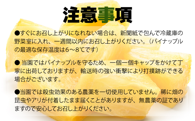 【2026年5月〜7月（全3回発送）】南国の美味しさを！パイナップル 定期便 B