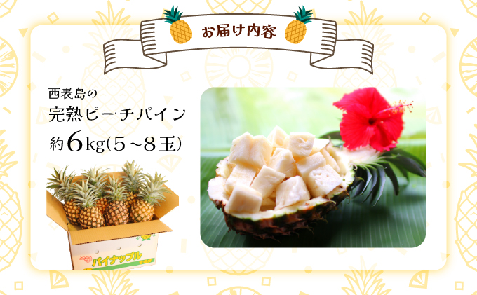 2026幎 å
è¡äºçŽ è¥¿è¡šå³¶ã®å®çããŒããã€ã³ 6kg (5ã8ç)ã忬ååº å®ç æç© ãã«ãŒãããå±ãïŒ5æäžæ¬ïœ6æäžæ¬é 